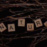 Nutraceutyki naturalne źródła: zdrowie z natury 6 Photo Natural Nutraceuticals
