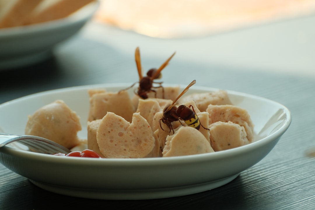 Photo Edible insects