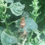 Photo conservation techniques