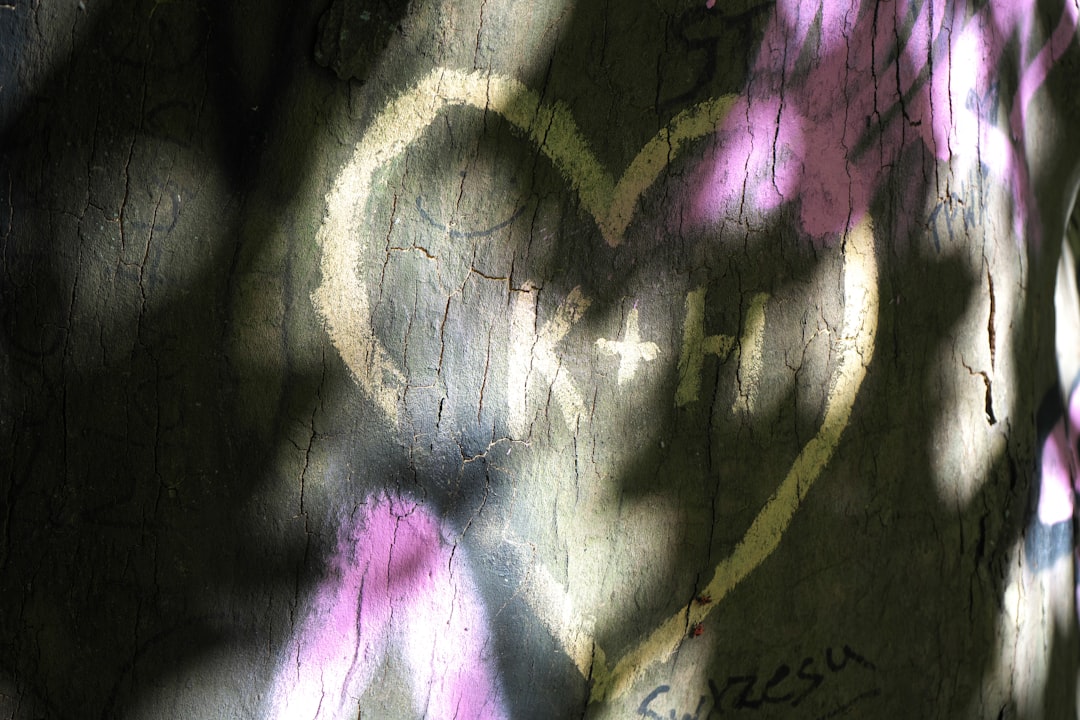 Photo oldest trees Poland