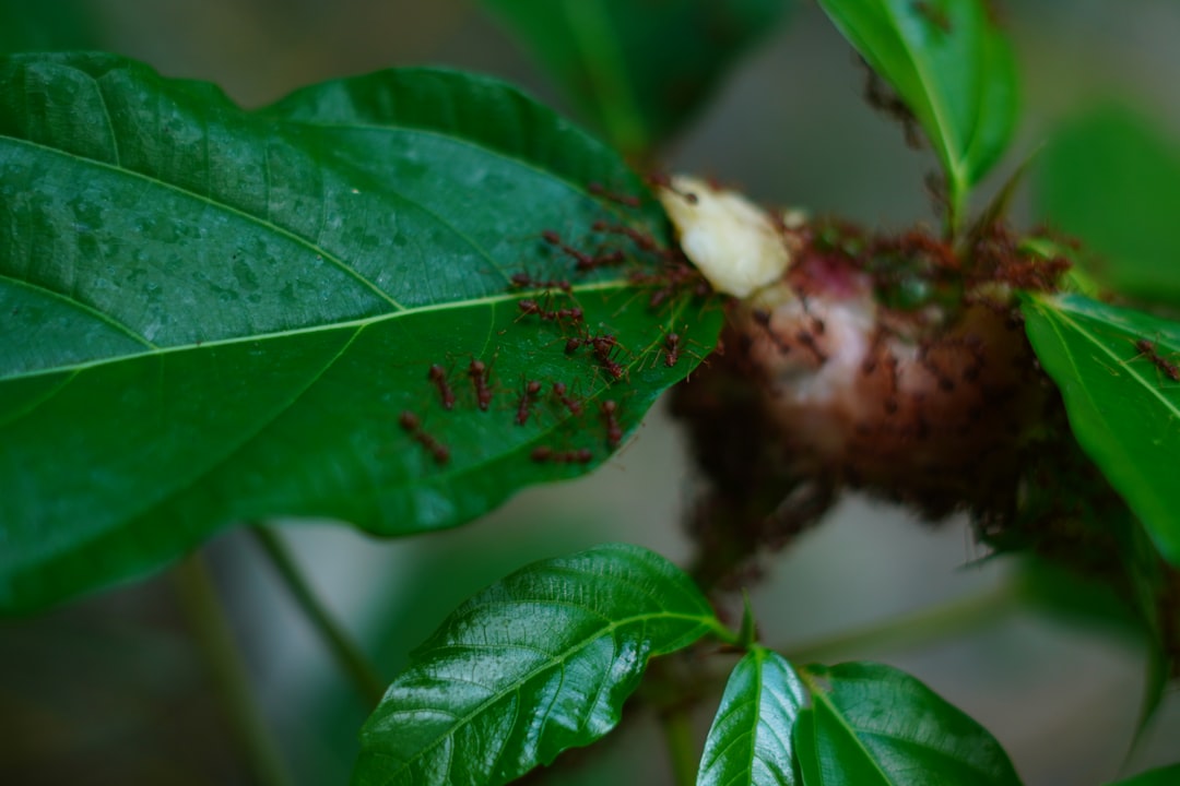 Photo Local food ecosystems